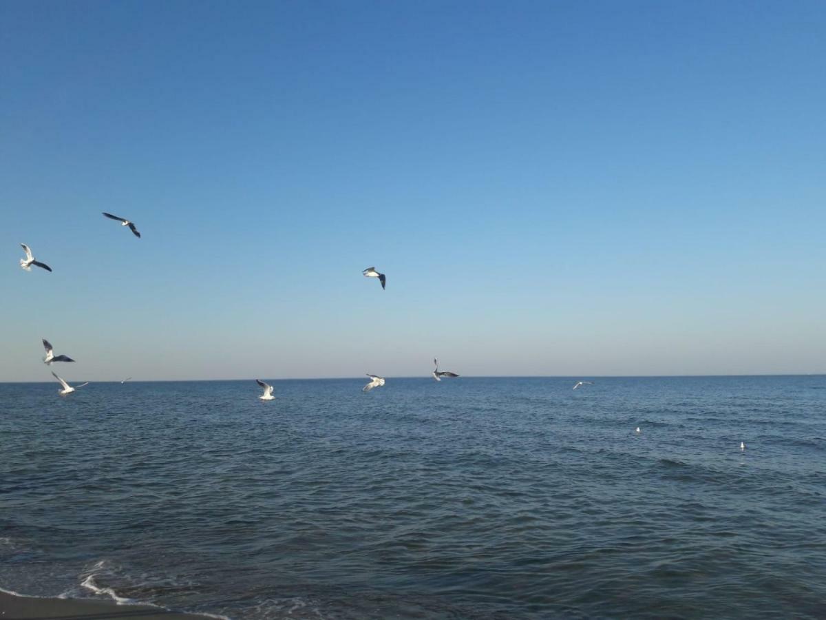 Kuestenwilla Fewo Usedom زينوويتز المظهر الخارجي الصورة